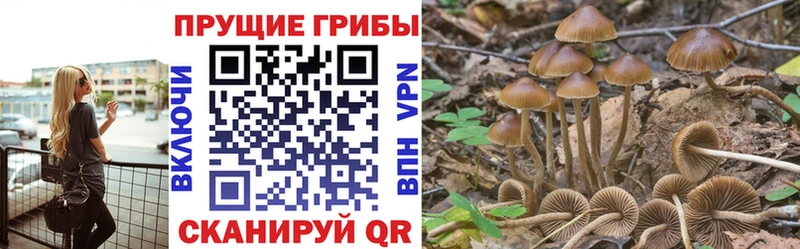 дарк нет наркотические препараты  blacksprut рабочий сайт  Чекалин  Галлюциногенные грибы прущие грибы 